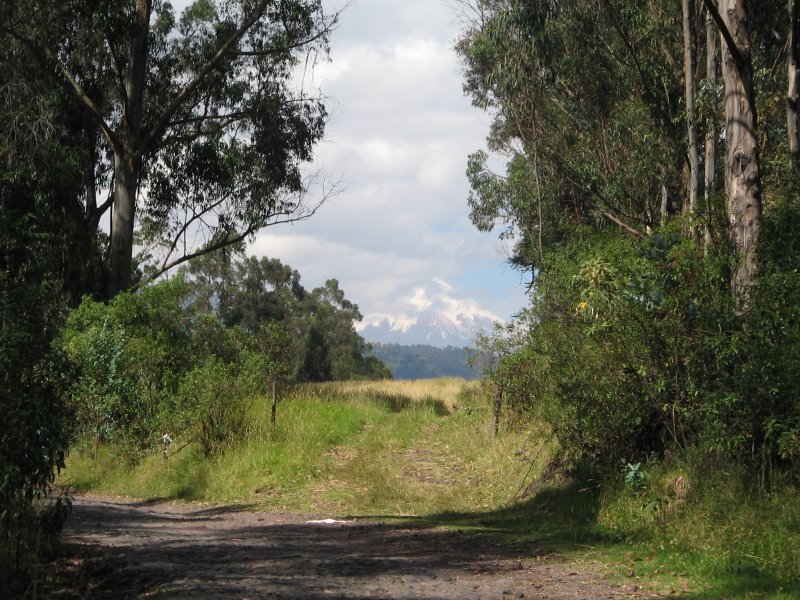 Cotopaxi