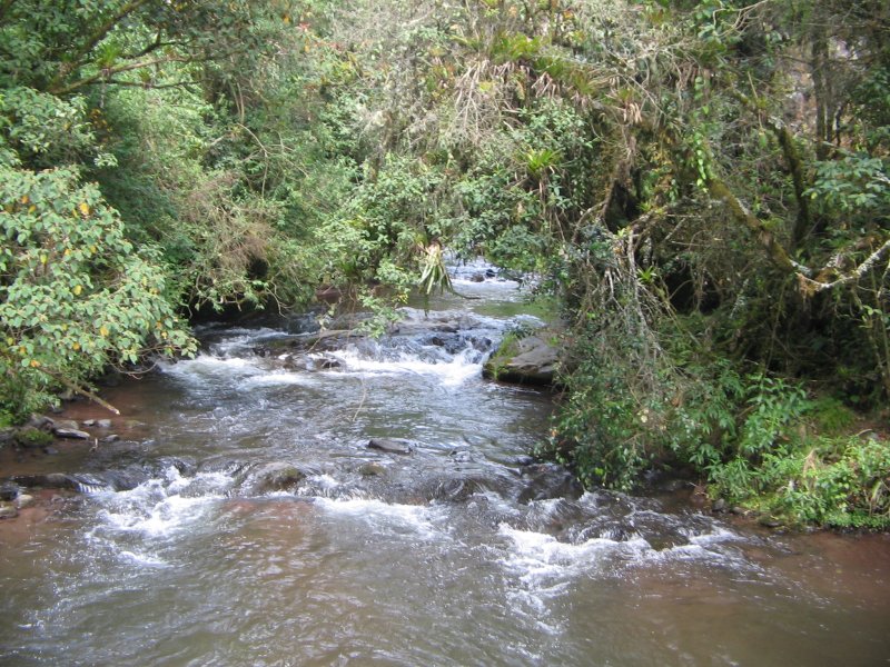 Fluss