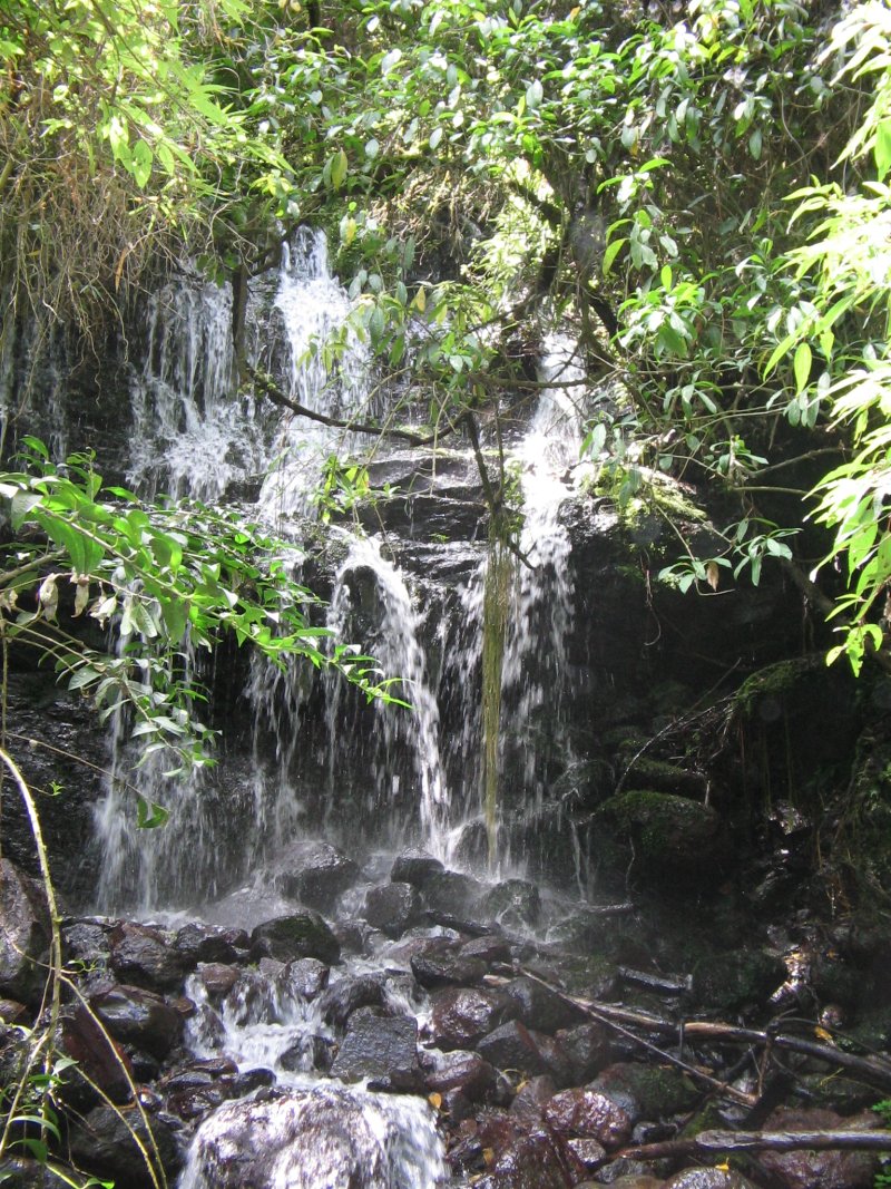 Wasserfall