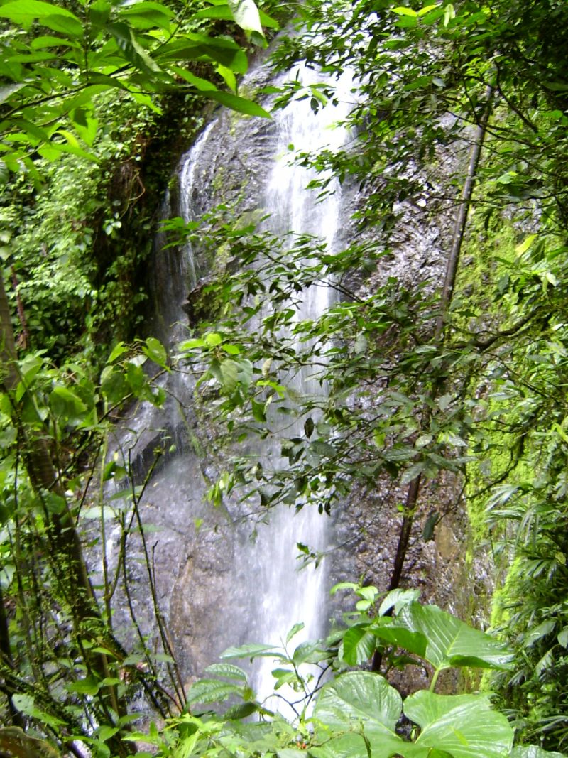 Wasserfall