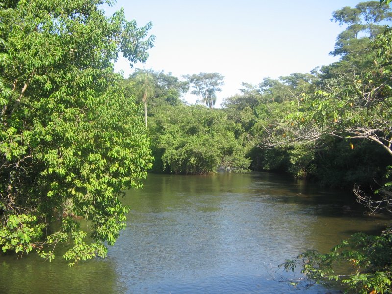 Nebenarm