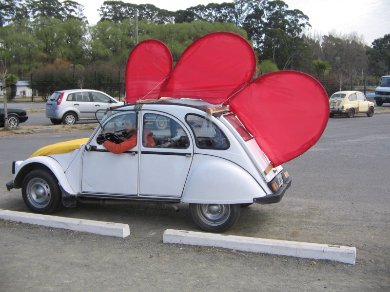 gallomovil