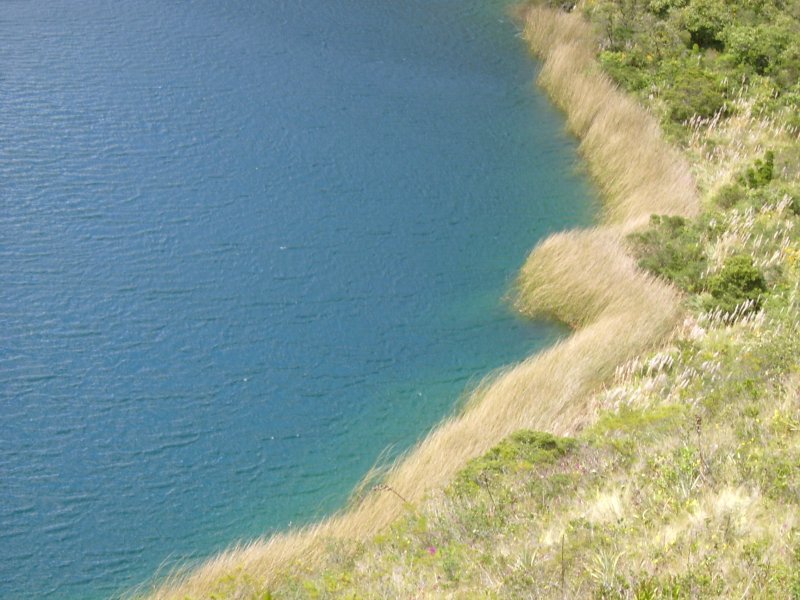 Coicocha 2