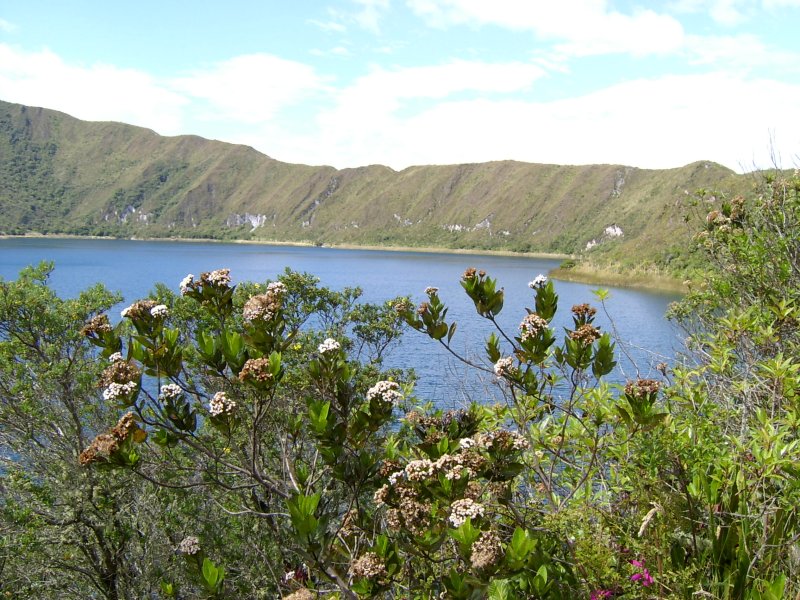 Coicocha 3