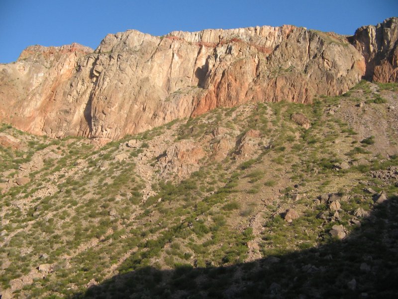 Pared