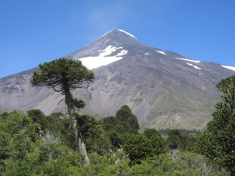 Lanin