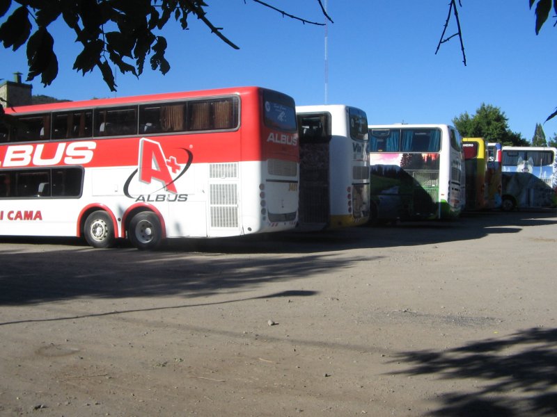 Busse