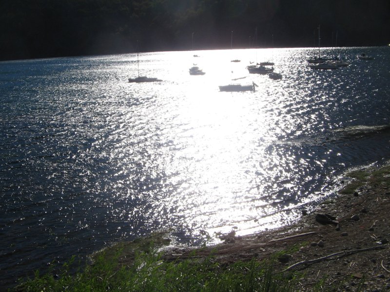 Boote