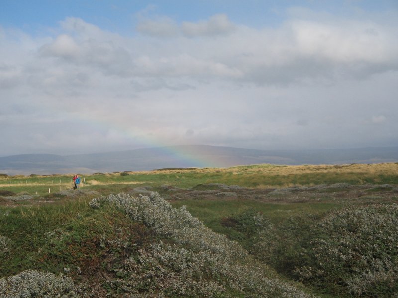Regenbogen