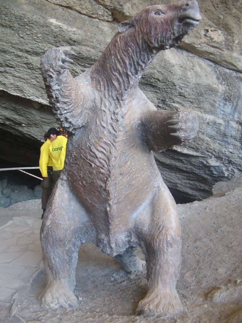 Milodon