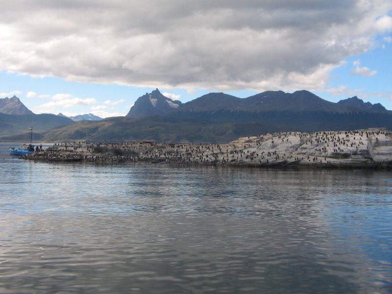 Vogelinsel