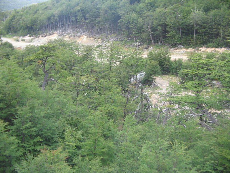 BLick von der Seilbahn